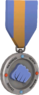 BLU Tournament Medal - National Heavy Boxing League 2nd Place.png