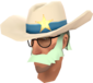 Painted Lone Star BCDDB3 BLU.png