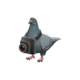 Backpack Bird's Eye Viewer.png