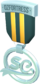 Unused Painted ozfortress Summer Cup First Place 2F4F4F.png