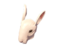 Item icon Horrific Head of Hare.png