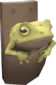 Painted Tropical Toad F0E68C.png