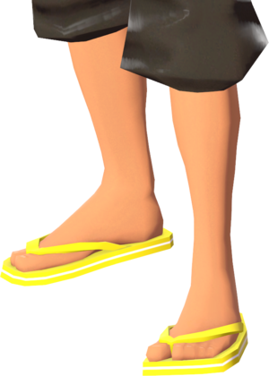 Flip-Flops.png