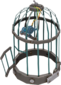 Painted Bolted Birdcage 2F4F4F BLU.png