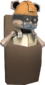 Painted Teddy Robobelt C5AF91.png