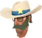 Painted Lone Star 424F3B BLU.png