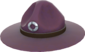 Painted Sergeant's Drill Hat 51384A.png