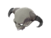 Item icon Spine-Chilling Skull.png