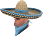 Painted Wide-Brimmed Bandito 5885A2.png