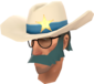 Painted Lone Star 2F4F4F BLU.png