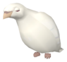 Bird.png