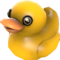 Unused Duck Journal.png