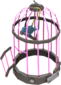 Painted Bolted Birdcage FF69B4 BLU.png