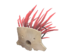 Item icon Mask of the Shaman.png