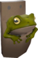 Painted Tropical Toad 808000.png