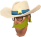 Painted Lone Star 808000 BLU.png