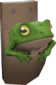 Painted Tropical Toad 729E42.png