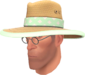 Painted Tropical Brim BCDDB3 Clear View.png