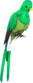 Painted Quizzical Quetzal 729E42.png