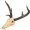 Necroprancer No Nose.png