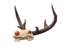 Necroprancer