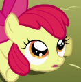 Userbox Brony Apple Bloom.png