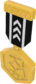 Painted Tournament Medal - TF2Connexion 141414.png