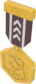 Painted Tournament Medal - TF2Connexion 483838.png