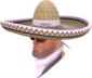 Painted Wide-Brimmed Bandito D8BED8 BLU.png