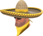 Painted Wide-Brimmed Bandito E7B53B BLU.png