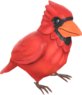 RED Catcher's Companion.png