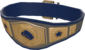 Painted Heavy-Weight Champ 18233D.png