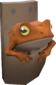 Painted Tropical Toad CF7336.png