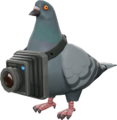 BLU Bird's Eye Viewer.png