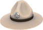 Painted Sergeant's Drill Hat A89A8C.png