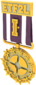 Unused Painted Tournament Medal - ETF2L 6v6 51384A Season 18-30 Premiership Gold Medal.png