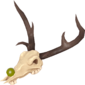 Painted Necroprancer 808000.png