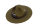 Item icon Sergeant's Drill Hat.png