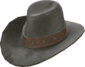 Painted Hat With No Name 2D2D24.png