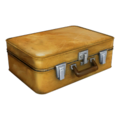 Backpack case early.png