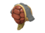 Item icon A Shell of a Mann.png
