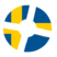 User IDromlexer TF2logoswedish.png