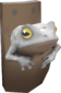 Painted Tropical Toad E6E6E6.png