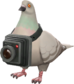 Painted Bird's Eye Viewer A89A8C.png