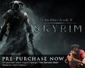 Skyrim Steam Promo.png